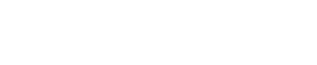 Damira Liberman Logo